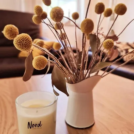 Quartier4u - 4 Sterne - Inklusive Eigene Bikebox Mit Strom - Waeschepaket - Power Wlan - Parkplatz - Early Checkin - # Bestpreisgarantie # Zingst